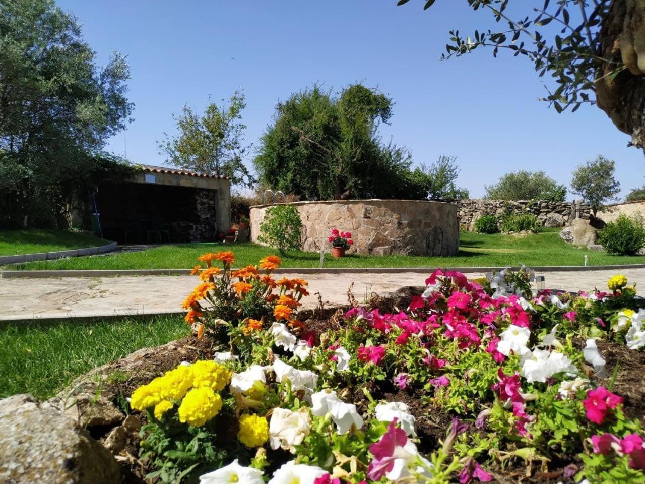 El Lagar Del Abuelo En Los Arribes Del Duero, Badilla, Zamora Exterior photo